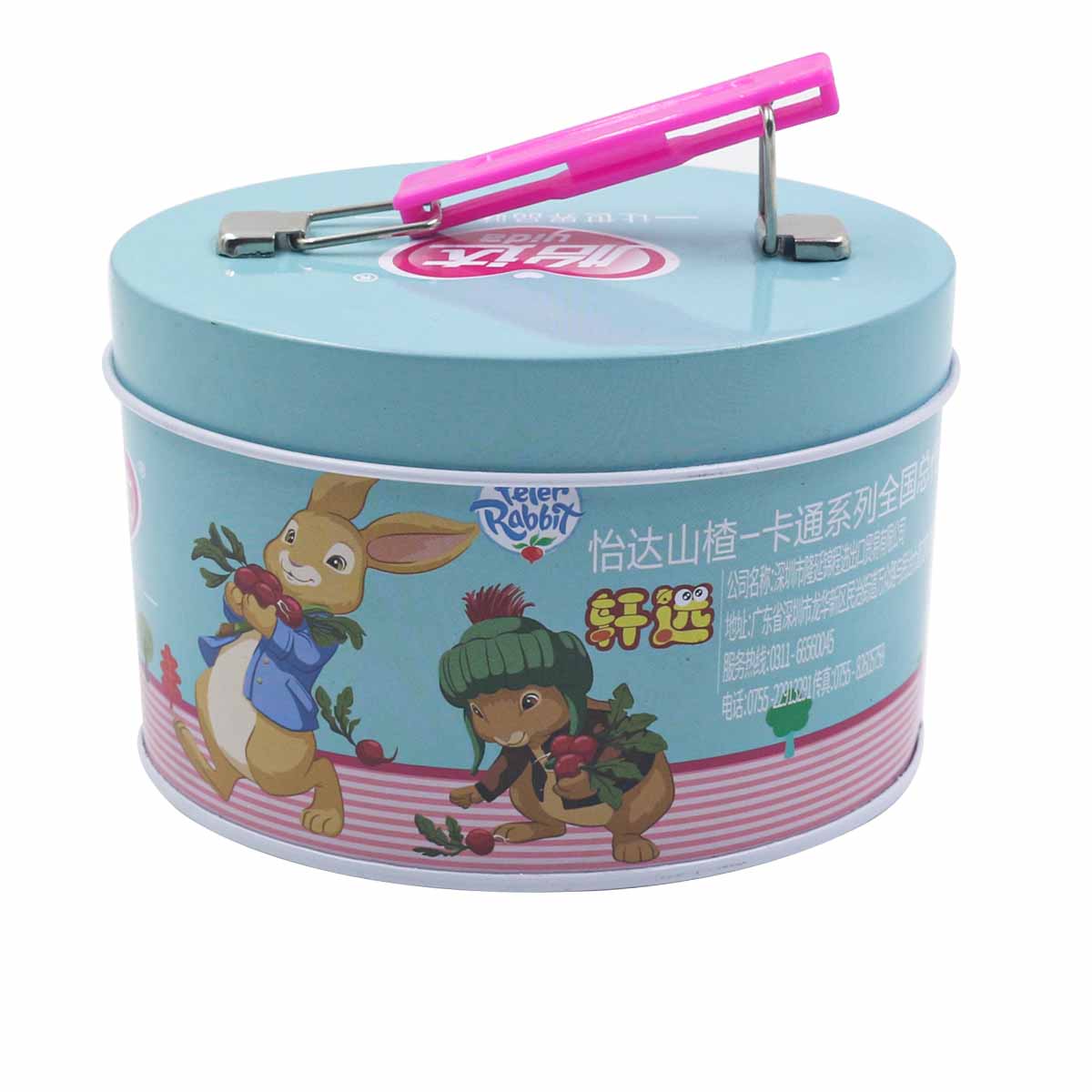 Special Shaped Portable Metal Food Tin Box